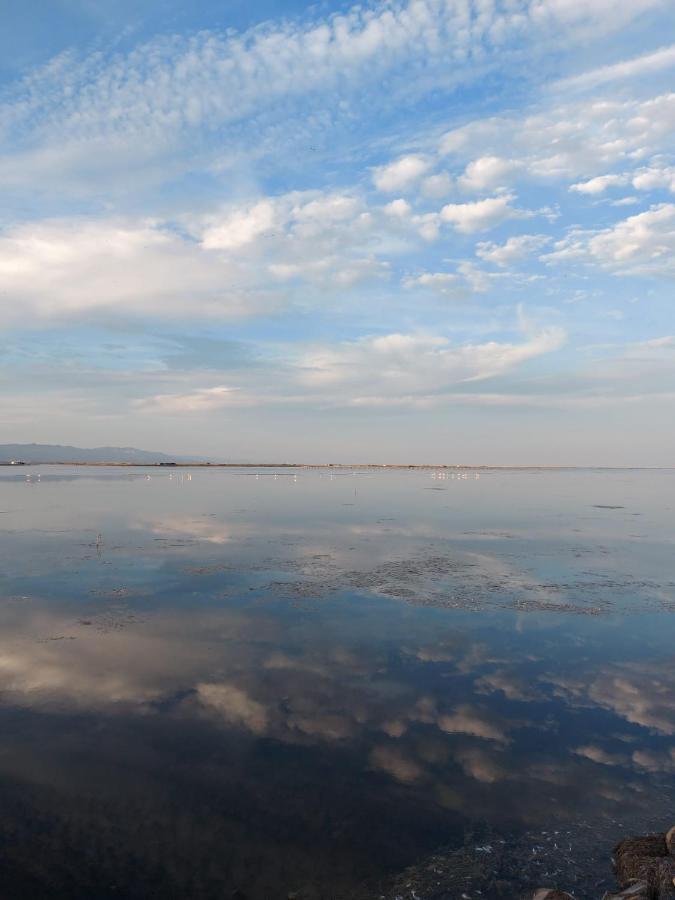 Encantador Apartamento En El Delta Del Ebro-Apartaments Iaio Kiko El Lligallo del Ganguil Екстер'єр фото